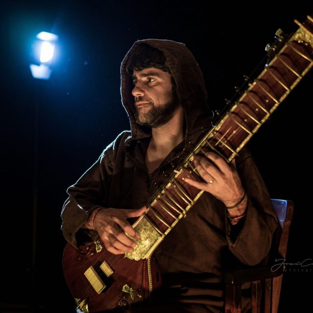 sitar5